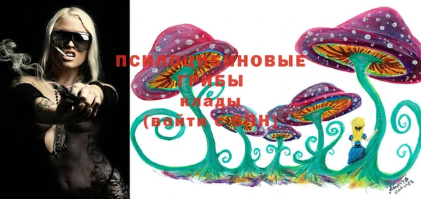 стафф Белоозёрский