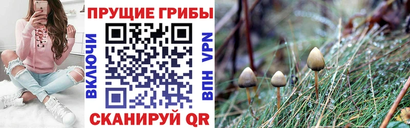 Псилоцибиновые грибы ЛСД  Лыткарино 