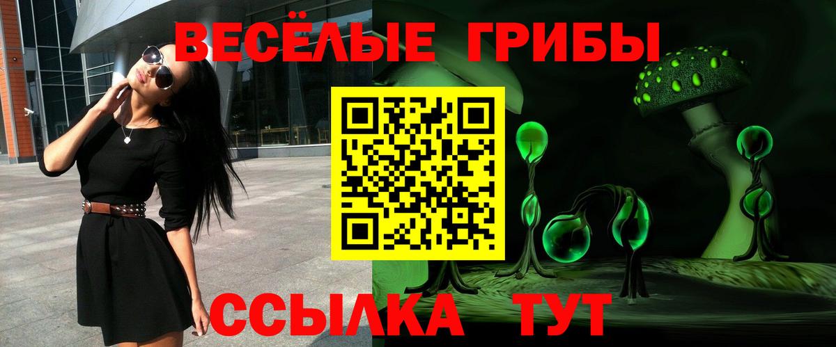 Псилоцибиновые грибы Magic Shrooms  Вход с VPN  Лыткарино 