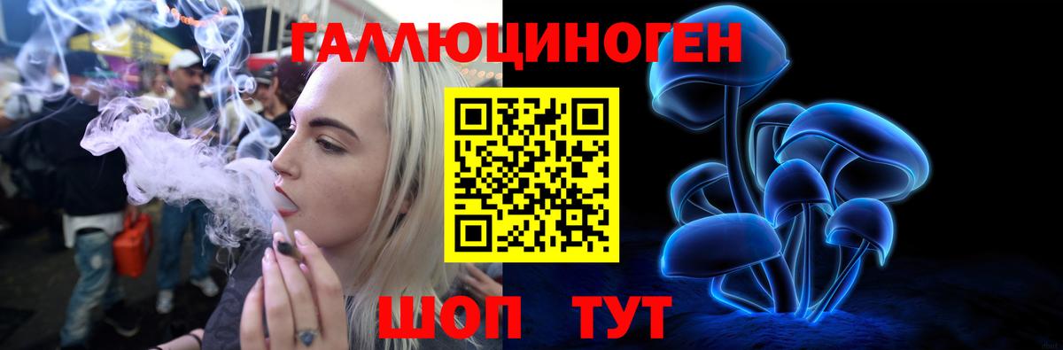 Псилоцибиновые грибы Cubensis Лыткарино