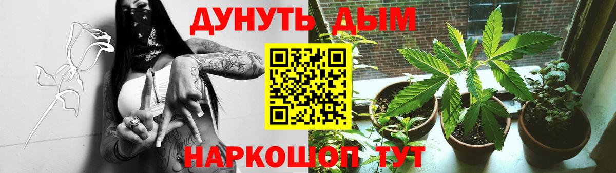 Бошки Шишки конопля  Конопля план  Вход с VPN  Лыткарино  Конопля AK-47 